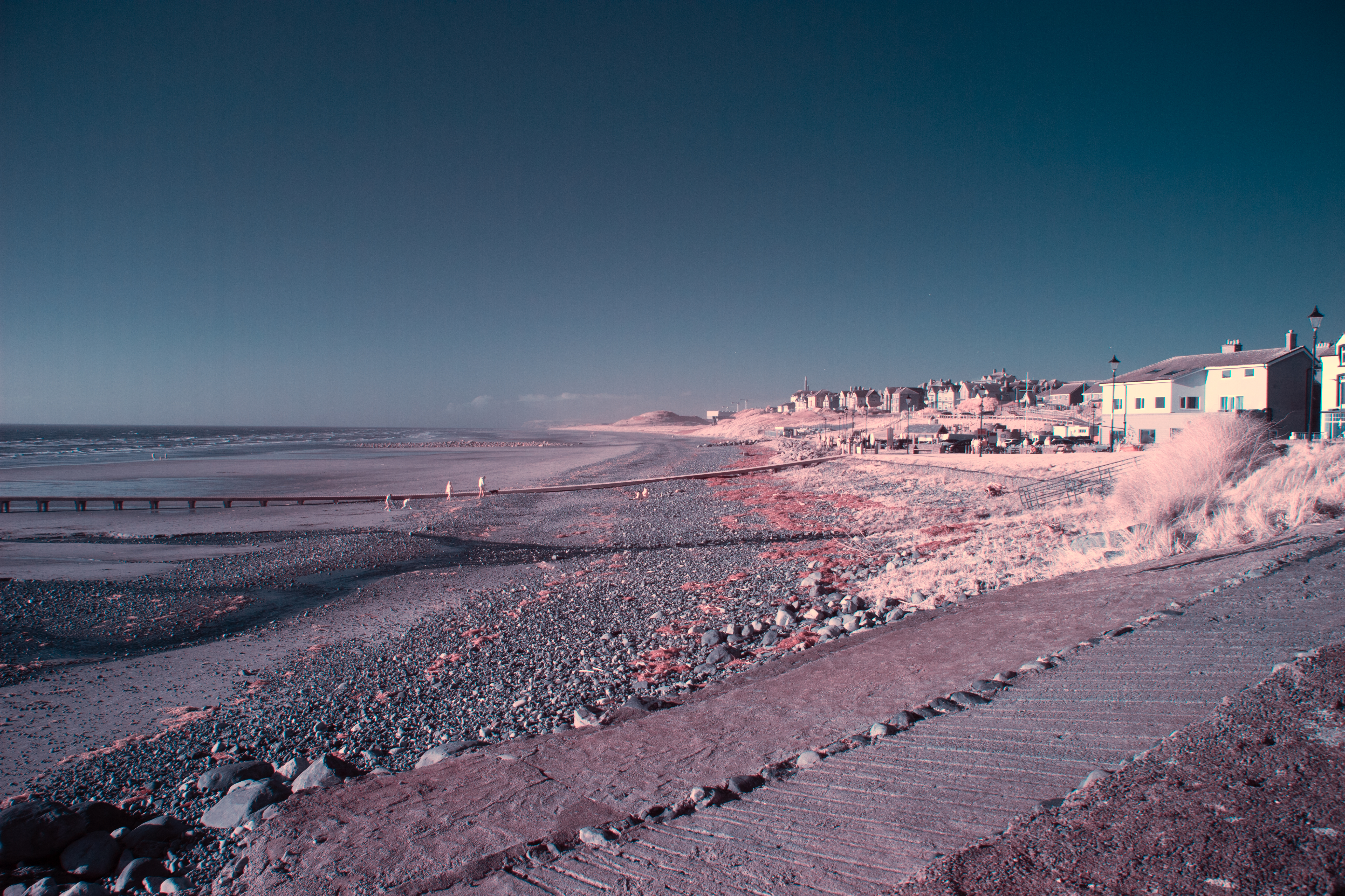 2025-02-22-ir-2.jpg