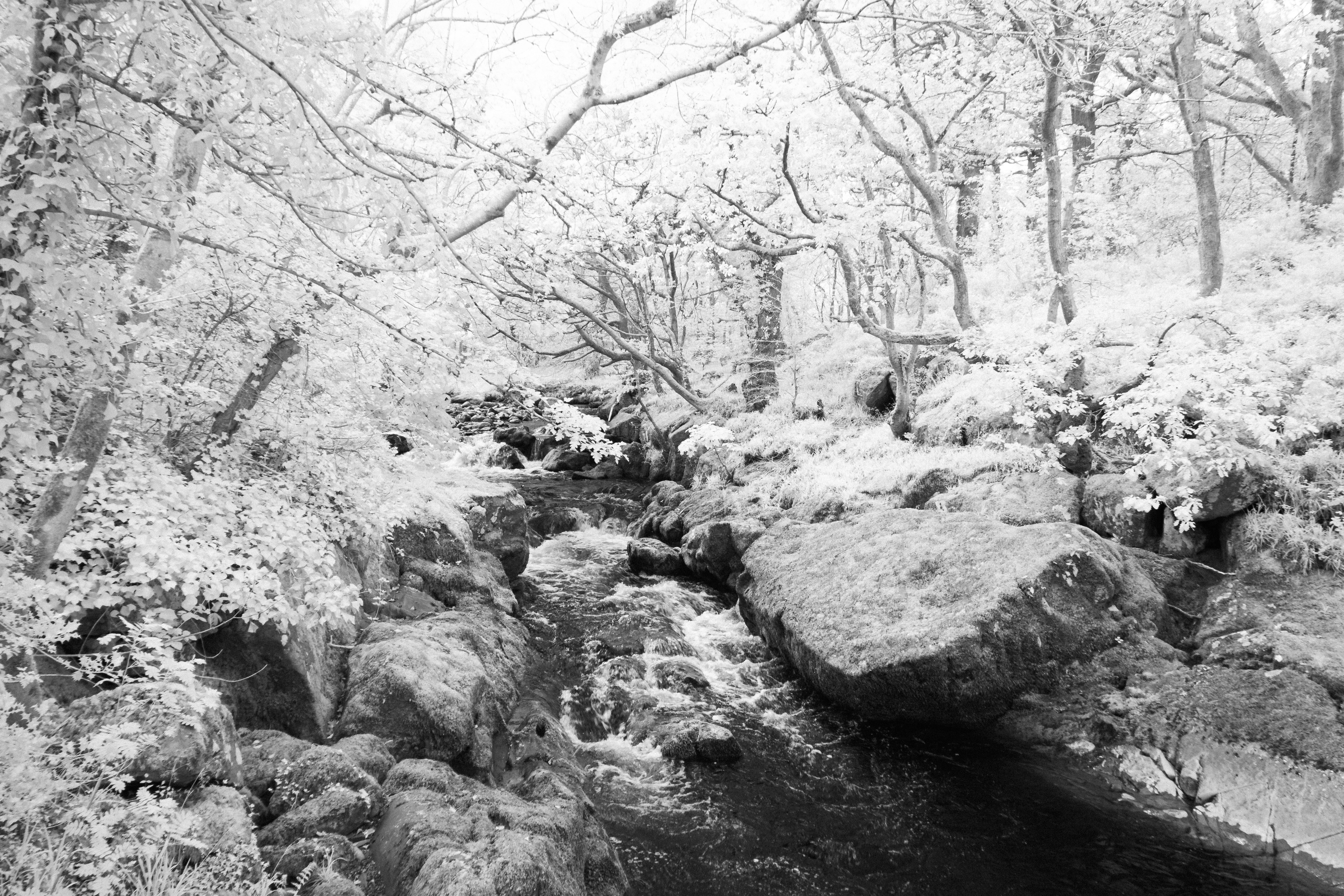 2025-04-27-ir-1.jpg