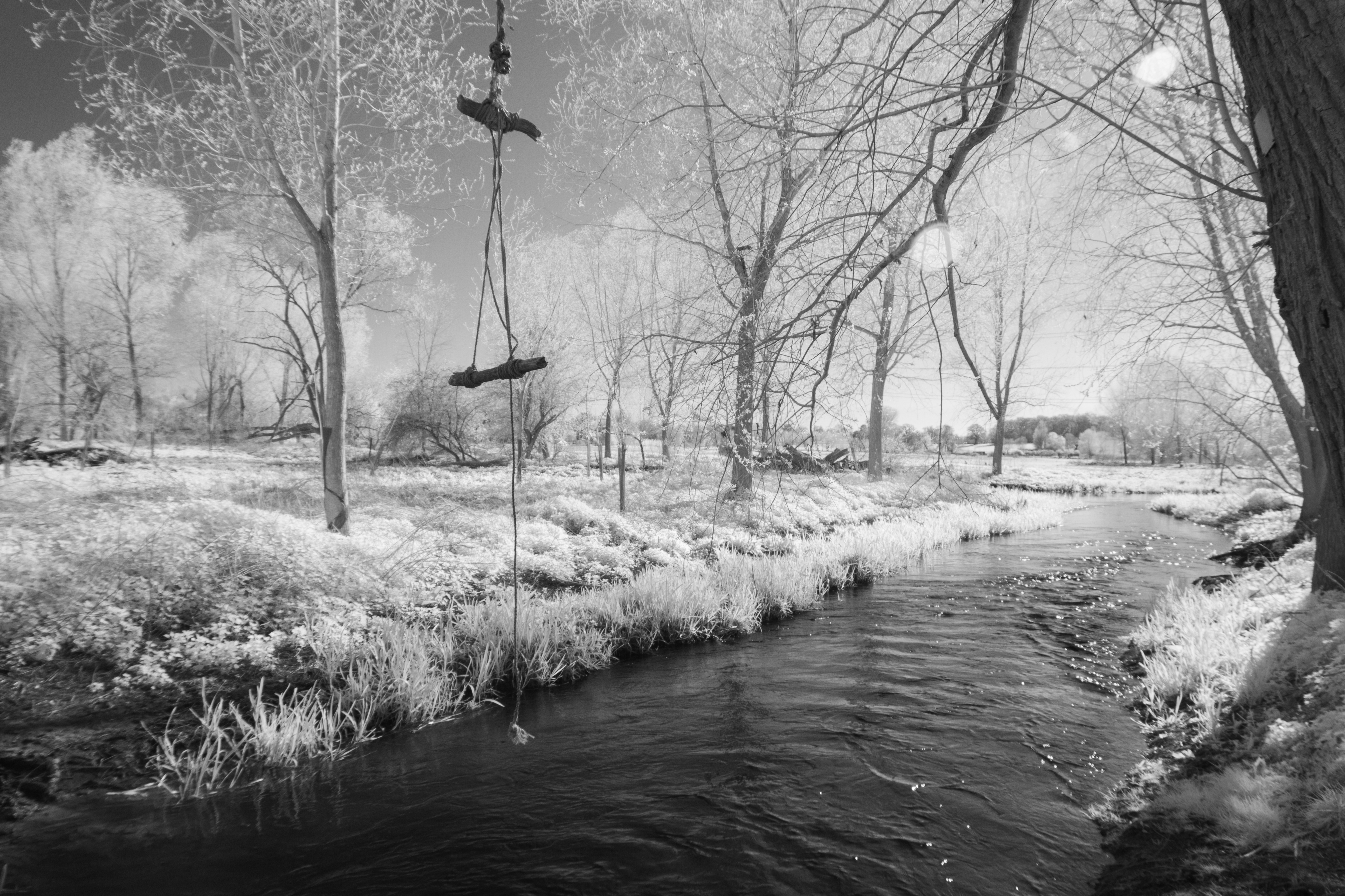 2025-04-05-ir-1-1.jpg
