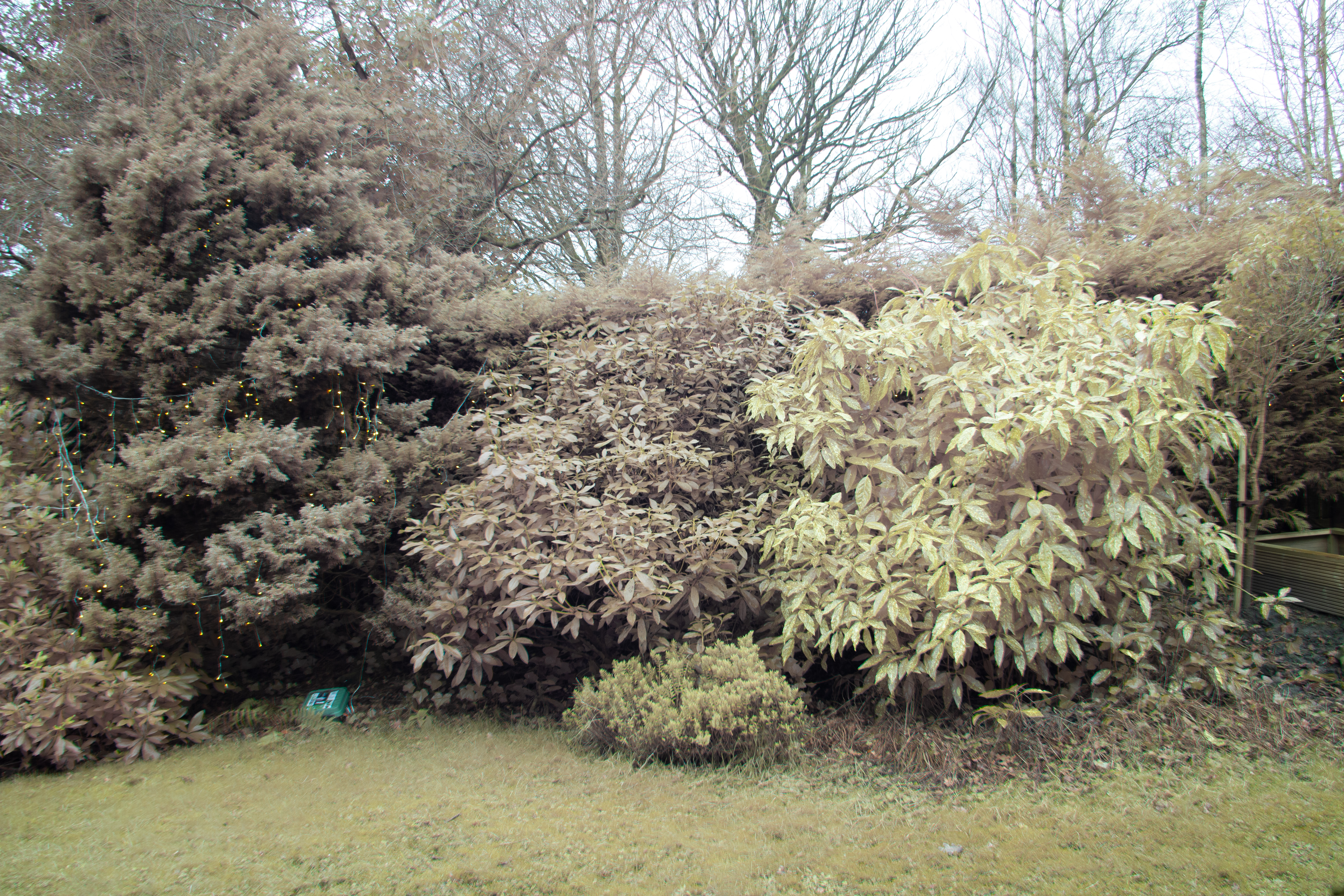 Before image