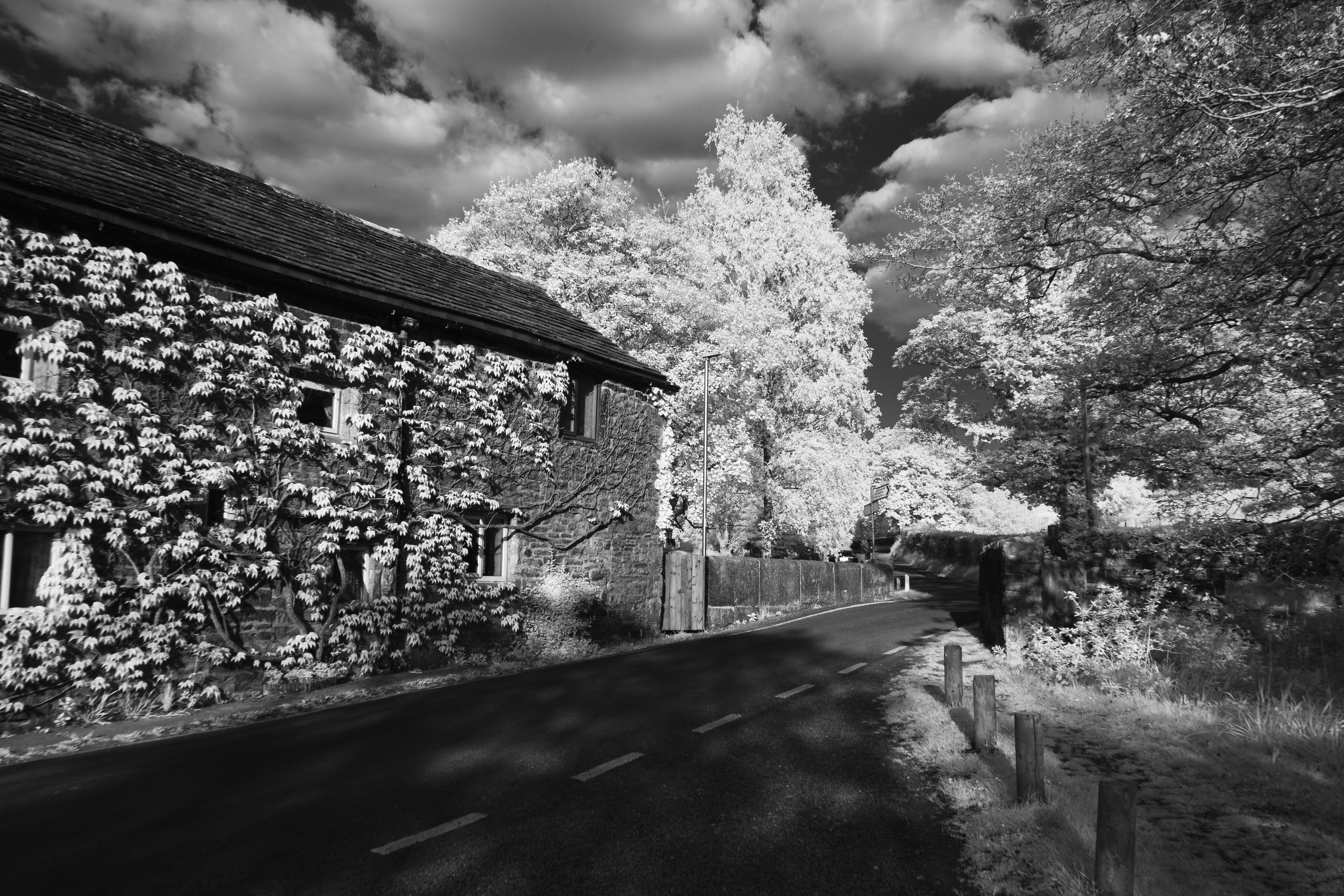 2025-05-09-b&w-ir-2.jpg