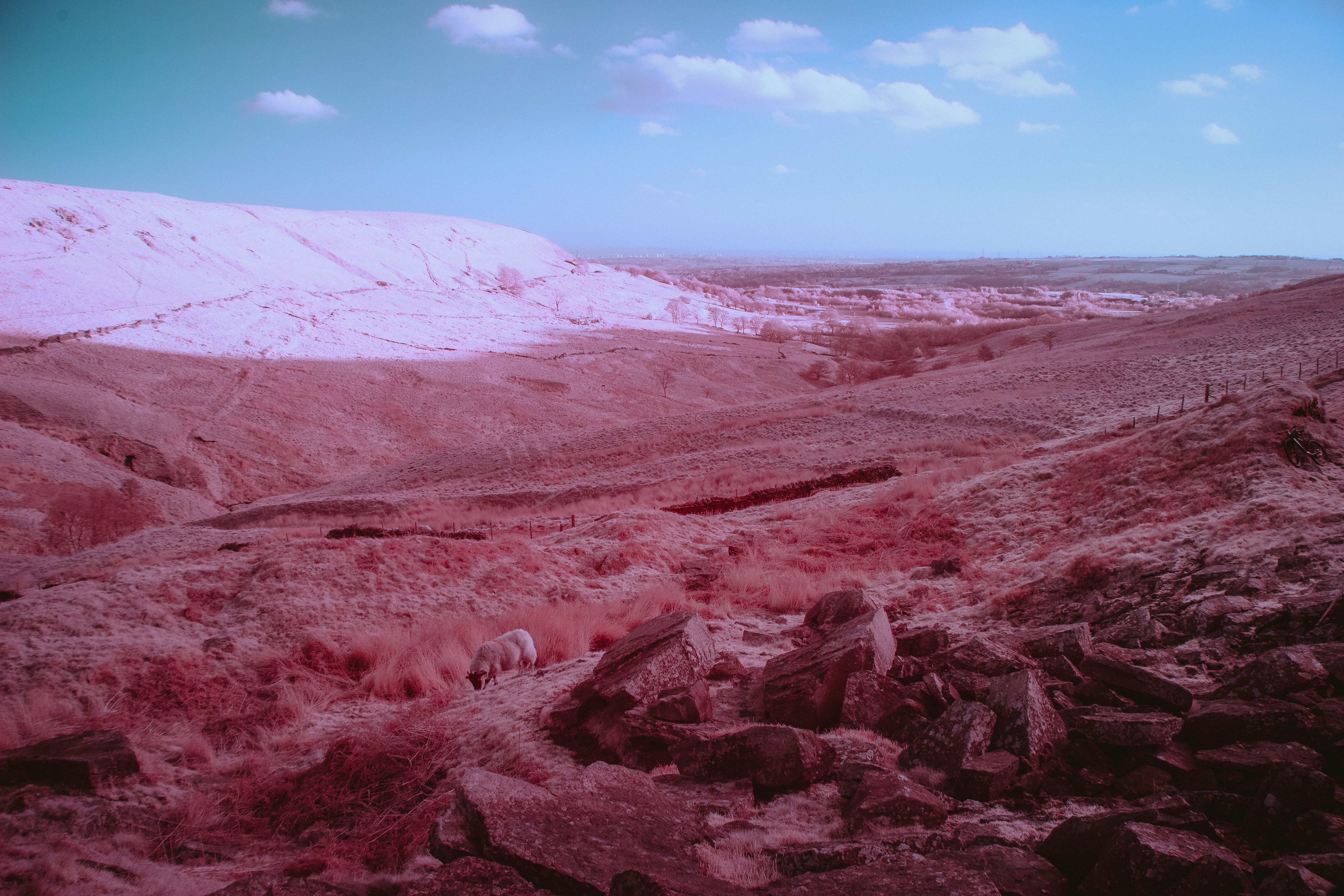 2025-02-24-IR-1.jpg
